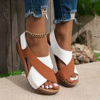 Light Brown / 36