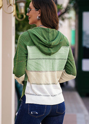 Zip-Up Raglan Sleeve Openwork Hooded Cardigan - MimiStylez