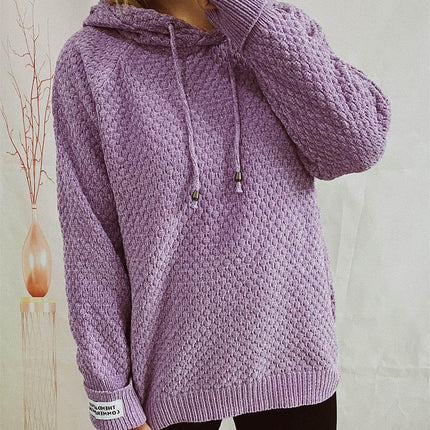 Drawstring Long Sleeve Hooded Sweater - MimiStylez