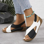 Black / 39