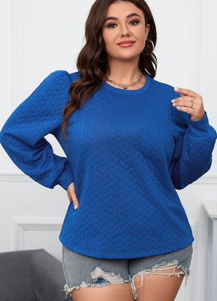 Plus Size Textured Round Neck Long Sleeve Top - MimiStylez