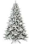 5-5.5 Ft / White / medium-sized trees