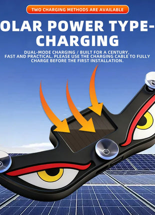 Neon Eye Solar Powered
