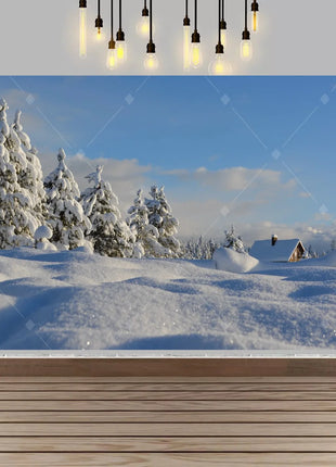 Winter wonderland winter snow village Backdrop Christmas Backdrop