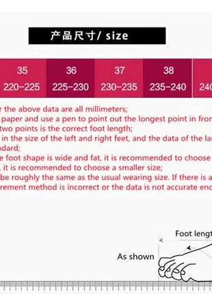 Embroidery Women Shoes, Vintage Woman Sneakers