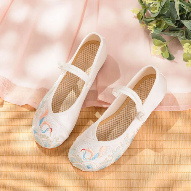 Zapatos elegantes de mujer con bordado chino