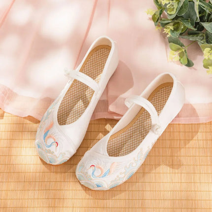 Embroidery Women Shoes, Vintage Woman Sneakers