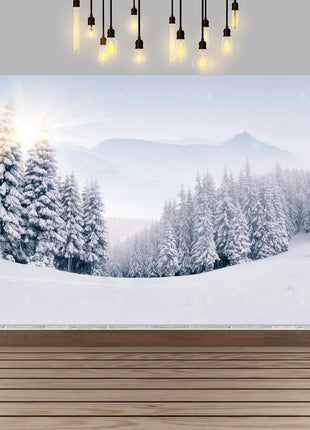 Winter wonderland winter snow village Backdrop Christmas Backdrop