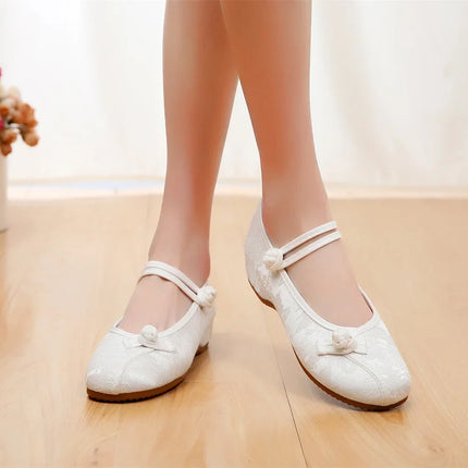 Embroidery Women Shoes, Vintage Woman Sneakers