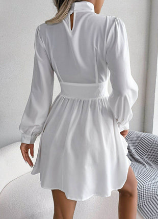 Cutout Turtleneck A-Line Mini Dress - MimiStylez